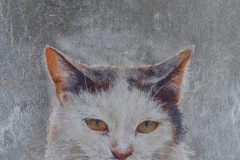 06瀬戸の猫
