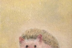 11ハリネズミ