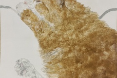 ②沈