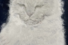 ⑧白