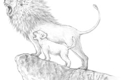 18.Panthera-leo