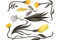 「Yellow flowers」（2022)　￥27,500