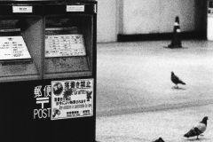 「人間の人間による人間のための、」