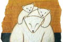 Bears