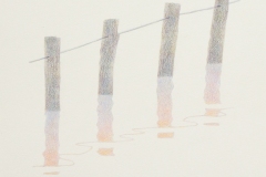 S-3　旧中川の杭