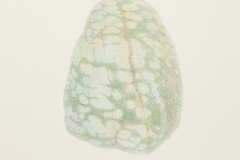 S-9　まだらの石