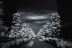 Yokohama02