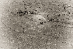 ground-zero-TOKYO