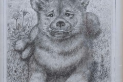 春爛漫