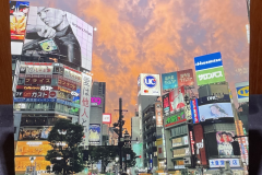 ＳＨＩＲＡＩ「交差する無数のストーリー」　