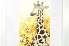 The-pattern-of-the-giraffe-is-like-a-flower