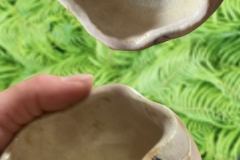 Fern Plant Eathing（器）14×14×6㎝　27,000円