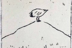 16.Seagull　¥9,500( 額・税込)　